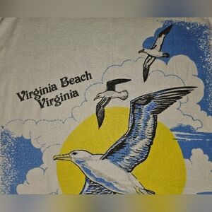 Vintage Virginia Beach Va Beach Towels Set Of 2 Beach Water Seagulls Souvenir